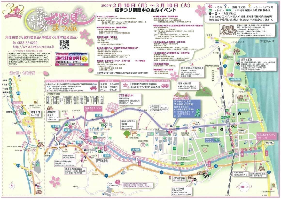 河津 桜 駐 車場 車場 駐 河津 桜