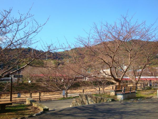 涅槃堂駐車場
