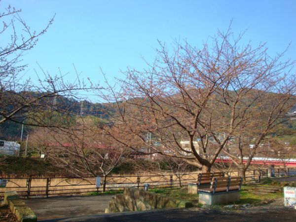 涅槃堂駐車場