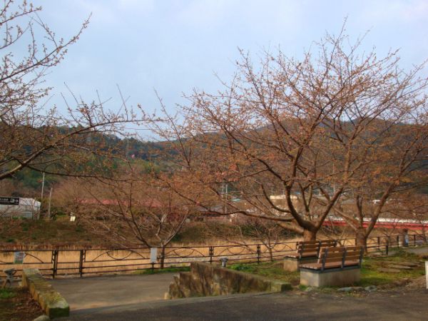 涅槃堂駐車場