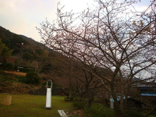 下佐ヶ野公園