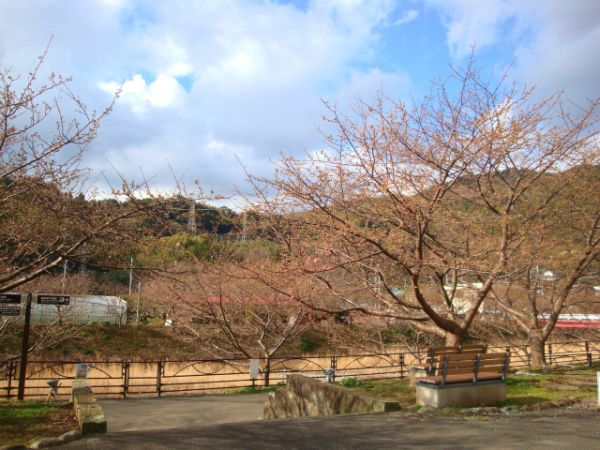 涅槃堂駐車場