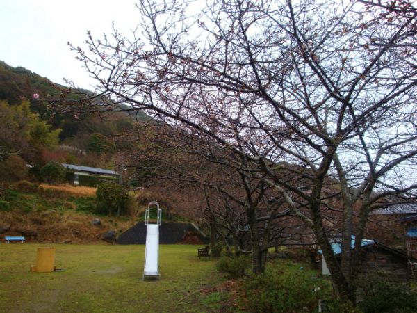 下佐ヶ野公園