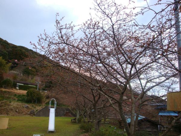 下佐ヶ野公園