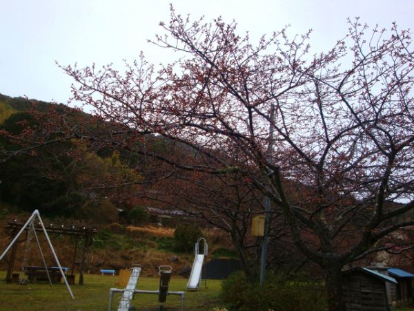 下佐ヶ野公園
