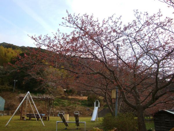 下佐ヶ野公園