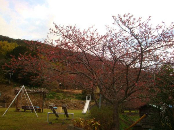 下佐ヶ野公園