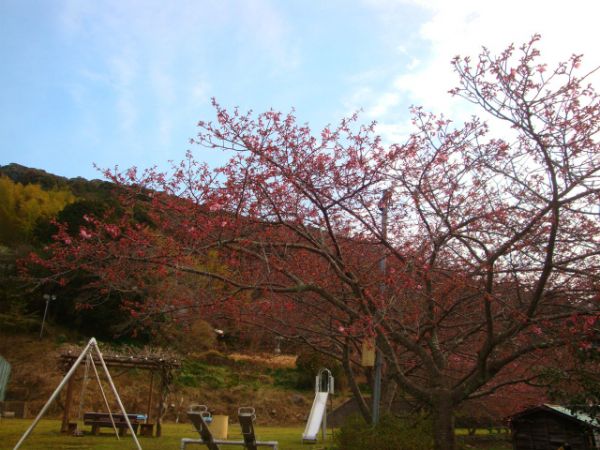 下佐ヶ野公園