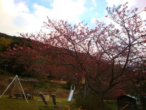 下佐ヶ野公園