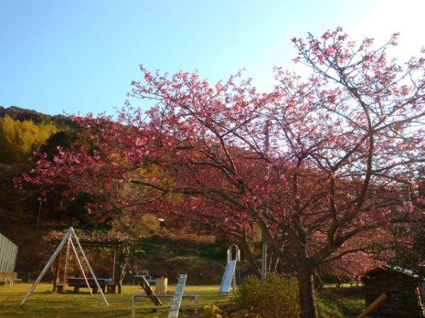 下佐ヶ野公園