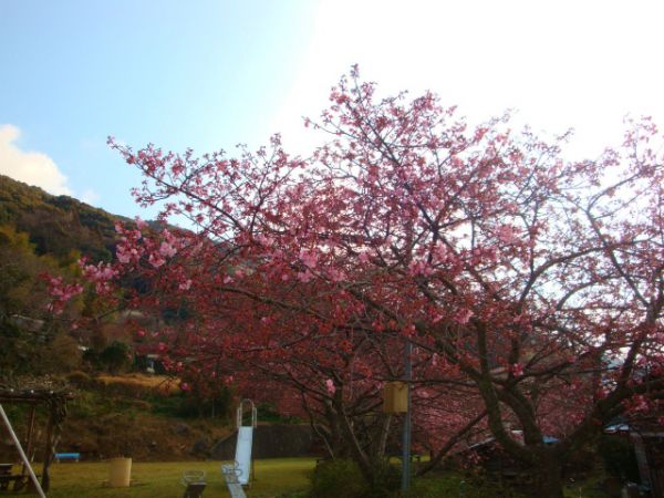 下佐ヶ野公園