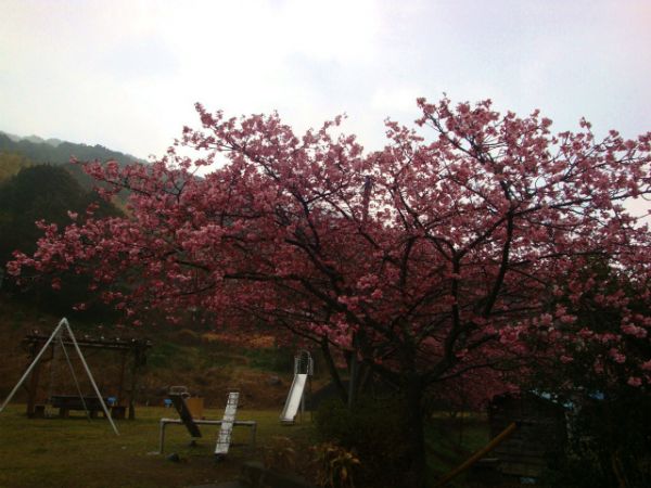 下佐ヶ野公園