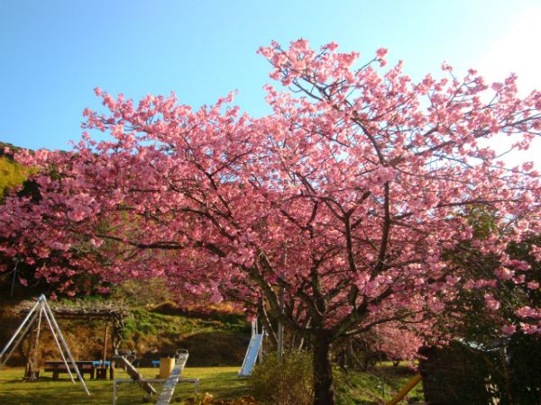 下佐ヶ野公園