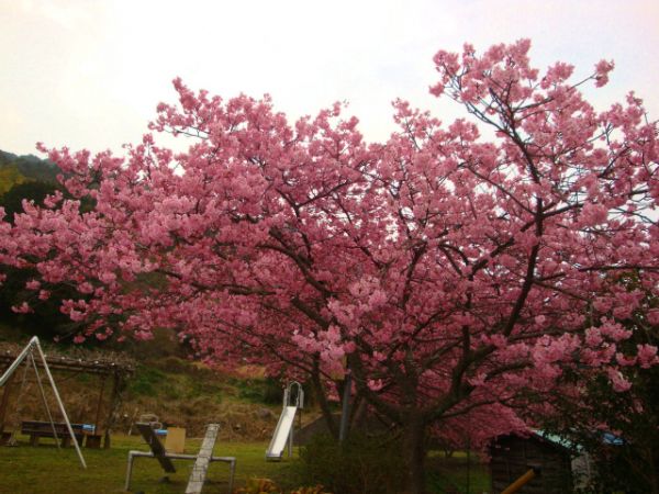 下佐ヶ野公園