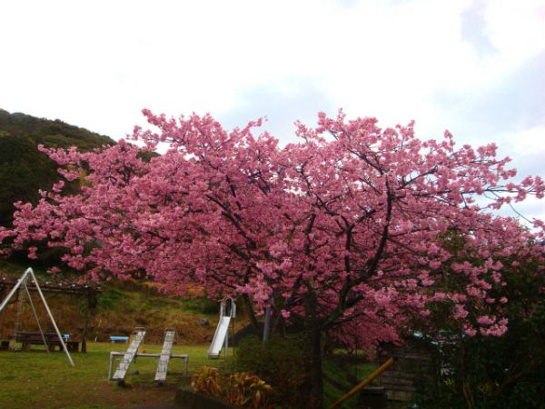 下佐ヶ野公園