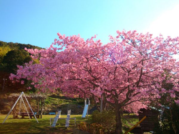 下佐ヶ野公園