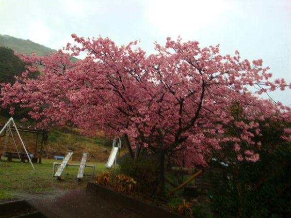 下佐ヶ野公園