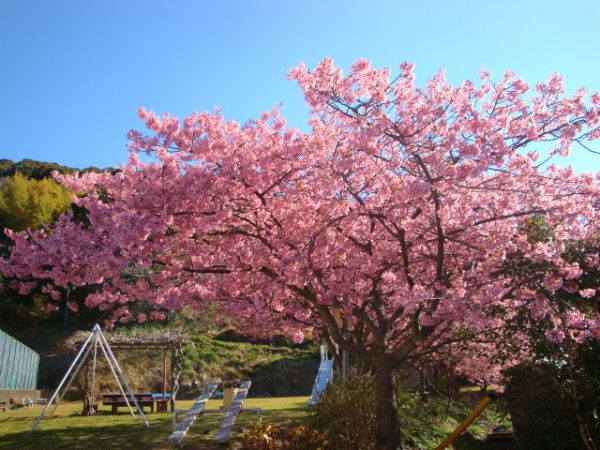 下佐ヶ野公園