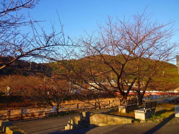 沢田　涅槃堂駐車場