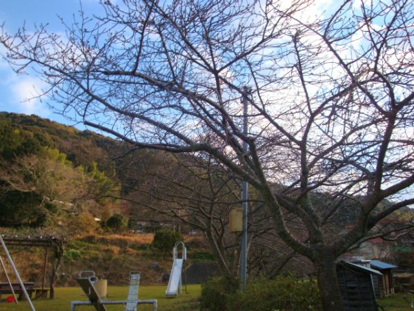 下佐ヶ野公園