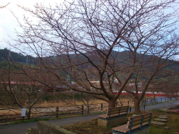 涅槃堂駐車場