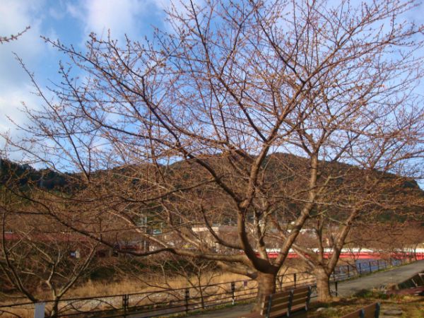 涅槃堂駐車場