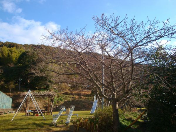 下佐ヶ野公園