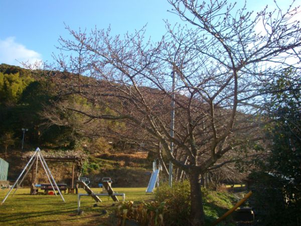 下佐ヶ野公園