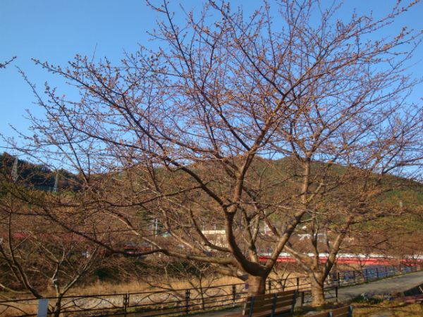 涅槃堂駐車場