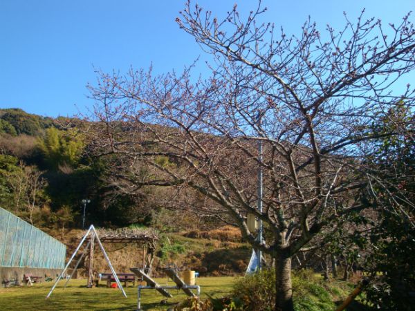 下佐ヶ野公園