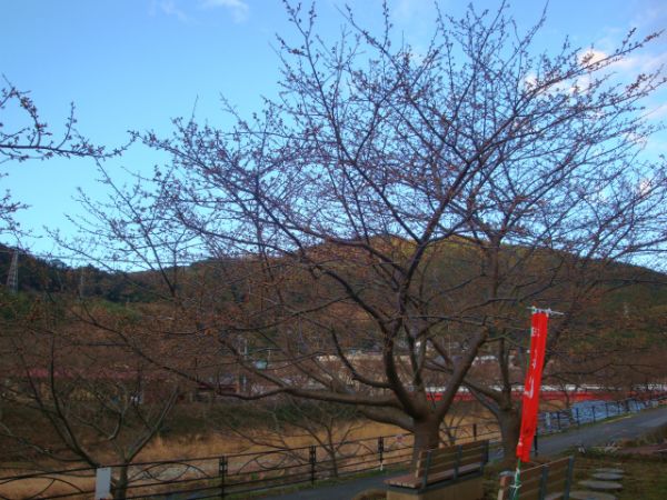 涅槃堂駐車場