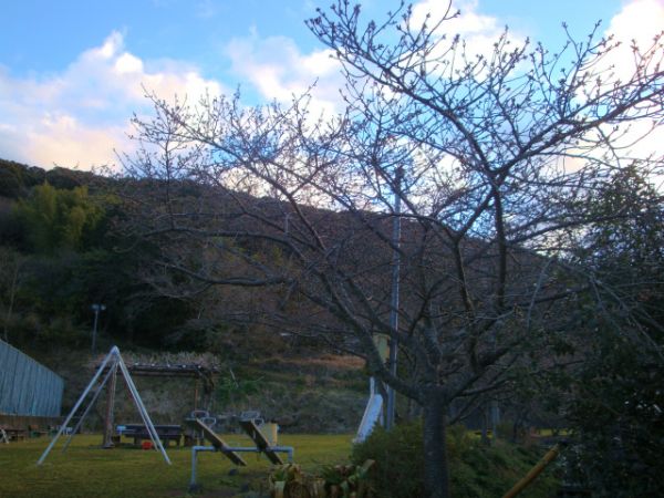下佐ヶ野公園