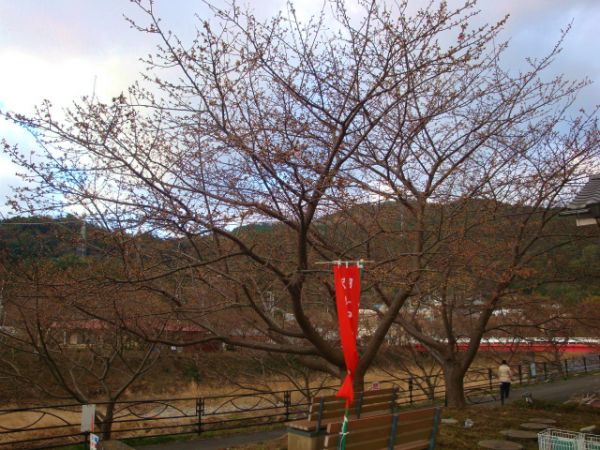 涅槃堂駐車場