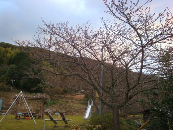 下佐ヶ野公園