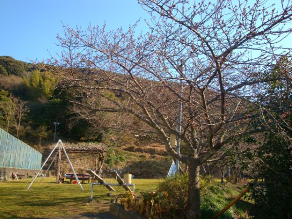 下佐ヶ野公園