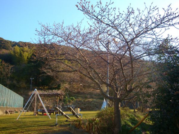 下佐ヶ野公園