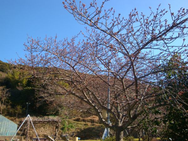 下佐ヶ野公園