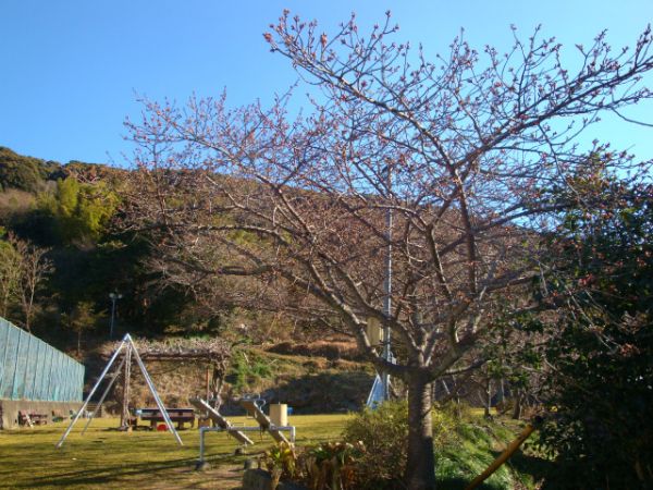 下佐ヶ野公園