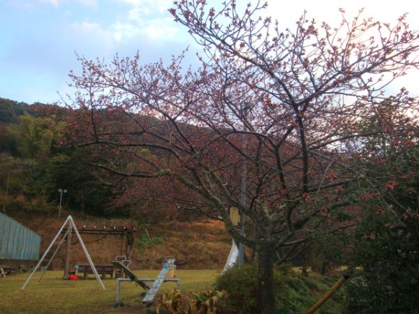 下佐ヶ野公園