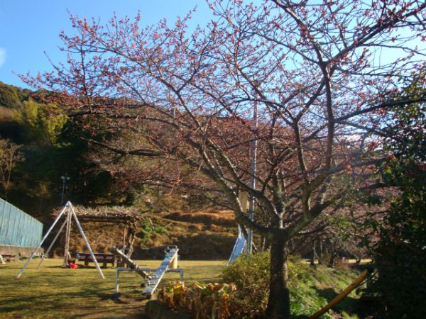 下佐ヶ野公園