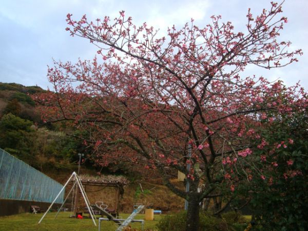 下佐ヶ野公園