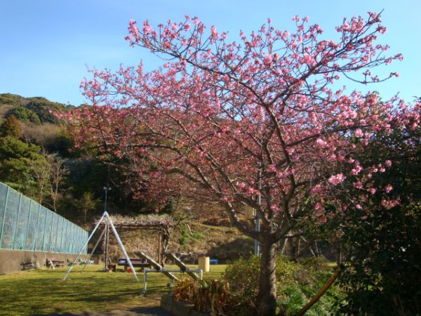 下佐ヶ野公園