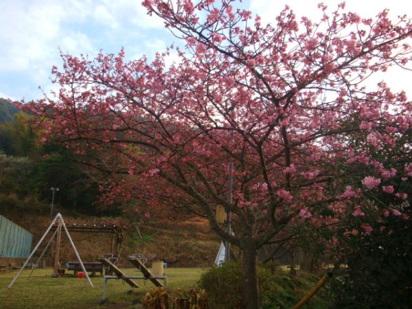下佐ヶ野公園