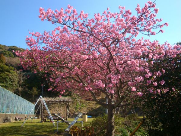 下佐ヶ野公園