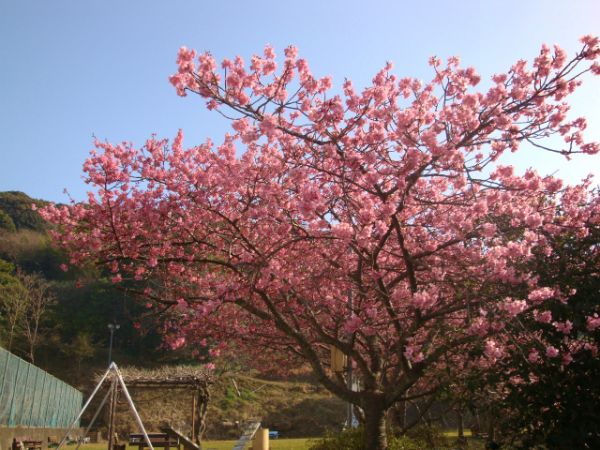 下佐ヶ野公園