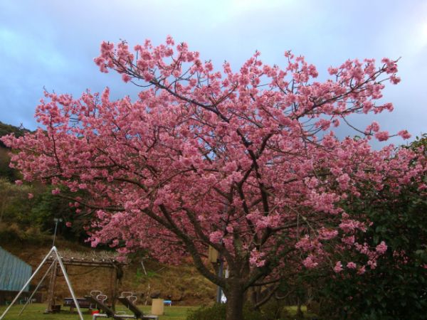 下佐ヶ野公園