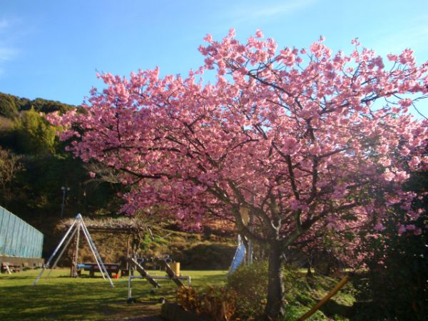 下佐ヶ野公園