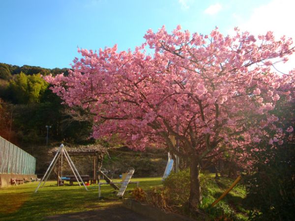 下佐ヶ野公園