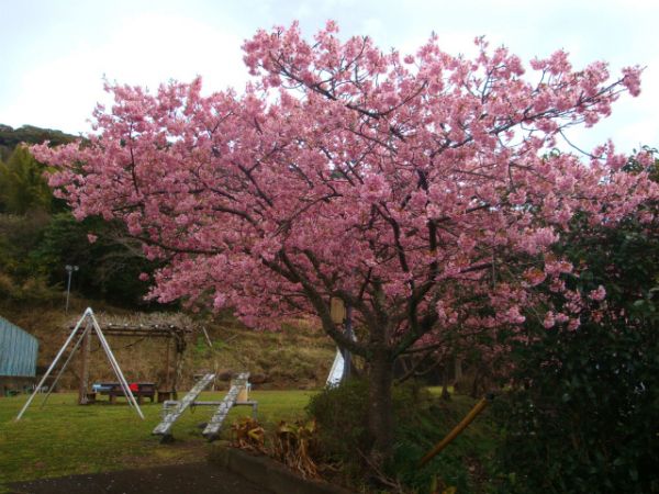 下佐ヶ野公園