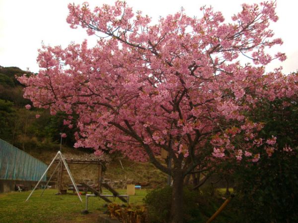 下佐ヶ野公園